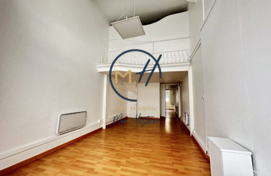Immobilier Professionnel à vendre lyon